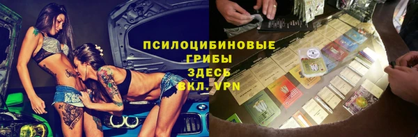 мяу мяу мука Осинники