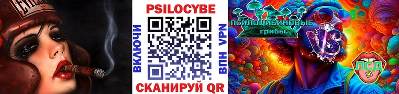 Купить закладки  Южно-Сухокумск  Псилоцибиновые грибы MAGIC MUSHROOMS 
